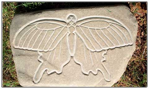 butterfly stone engraving