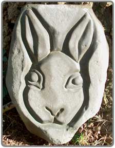 rabbit